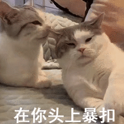 大学生在校做什么兼职能赚钱？
